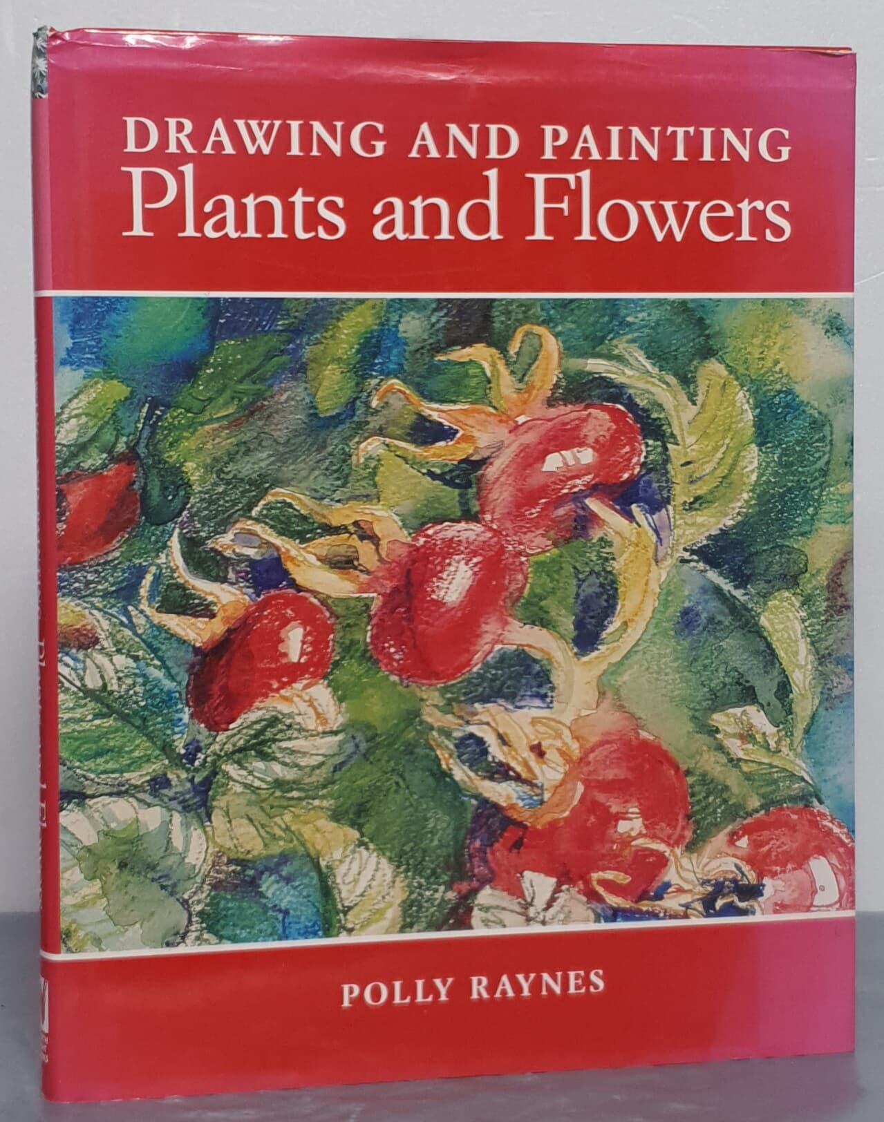 Drawing and Painting Plants and Flowers (Hardcover)