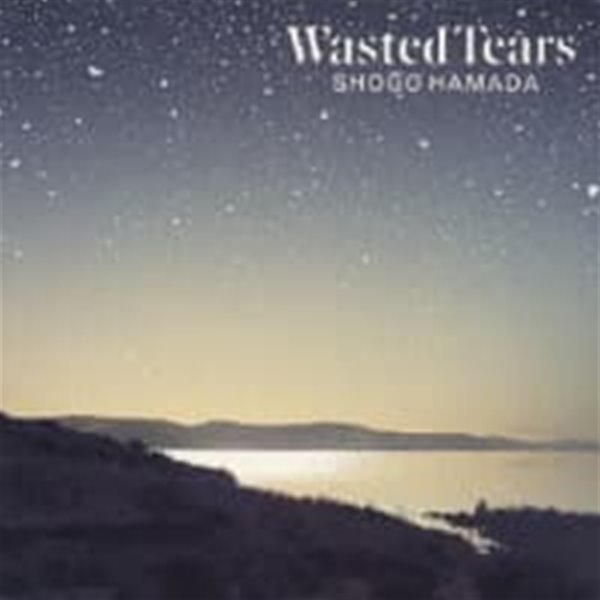 Hamada Shogo / Wasted Tears (수입)