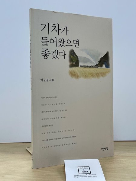 기차가 들어왔으면 좋겠다 / 박구경 / 책만드는집 / 상태 : 상 (설명과 사진 참고)