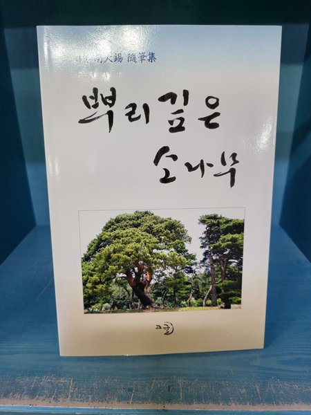 뿌리 깊은 소나무 - 남대석 수필집