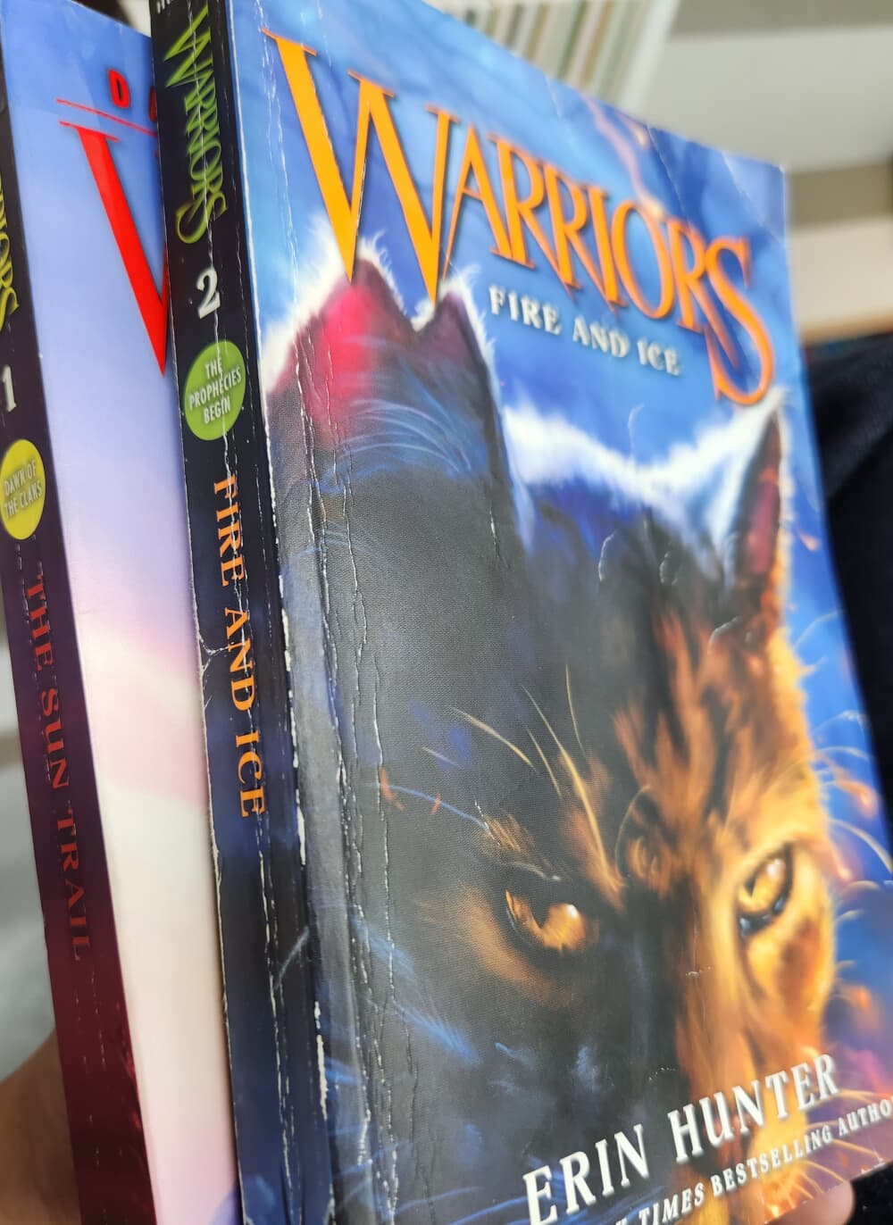 Warriors Box Set: Volumes 1 to 6: Full Set (Paperback)
