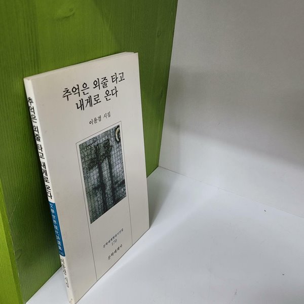 추억은 외줄 타고 내게로 온다(이윤경)