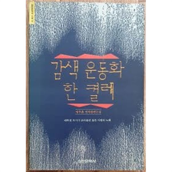 감색 운동화 한 켤레