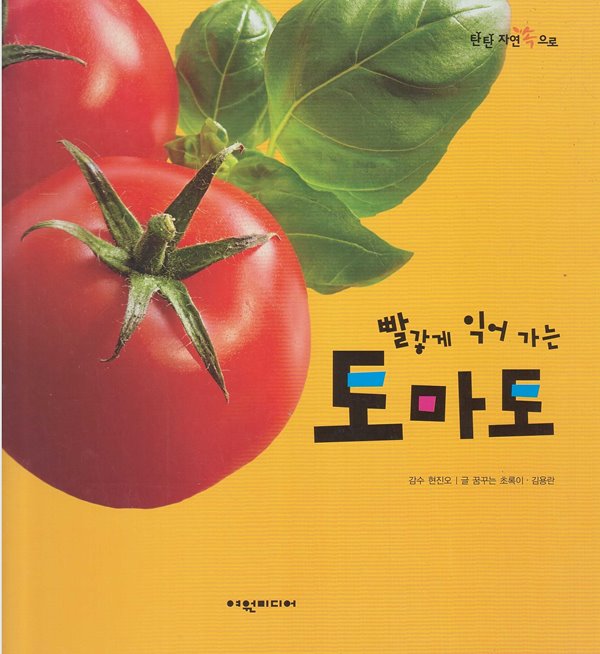 빨갛게 익어 가는 토마토 (탄탄 자연속으로 - 식물과 식생활)