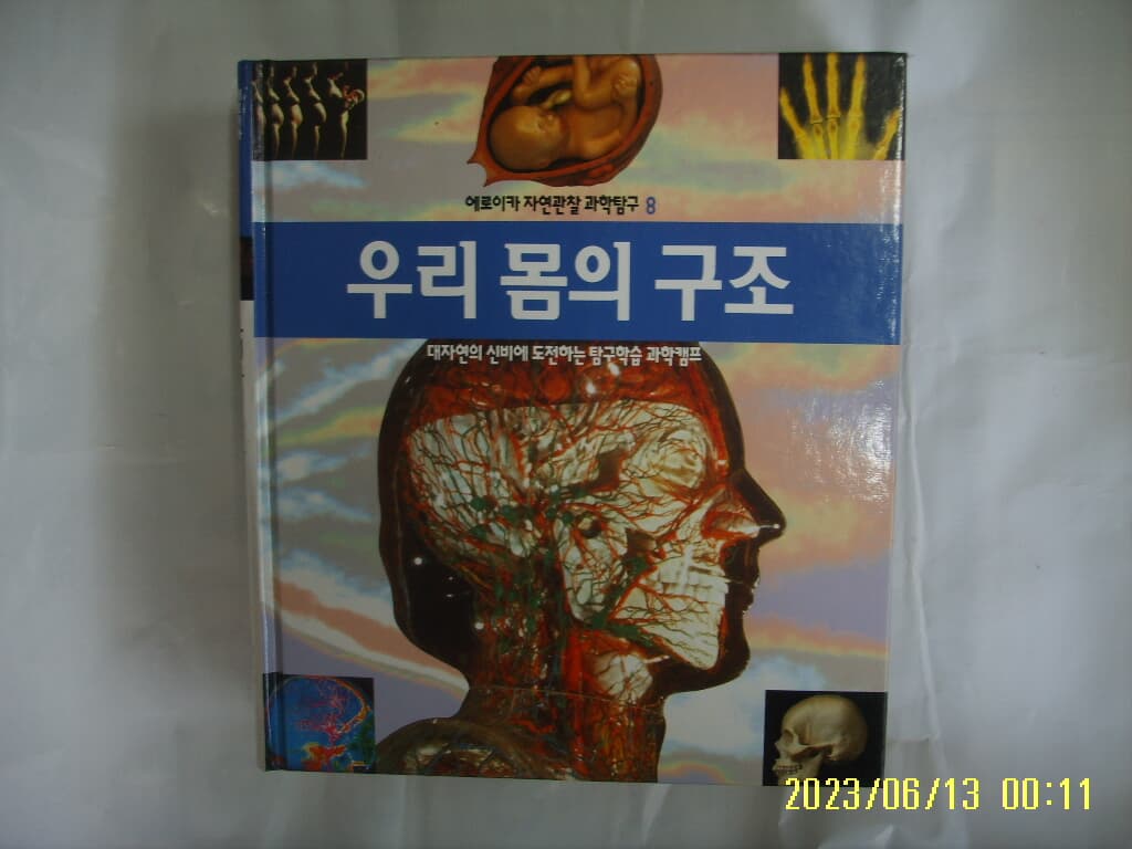 뉴턴코리아 편집부 / 에로이카 자연관찰 과학탐구 8 우리 몸의 구조 (전52권중,,) -꼭 상세란참조