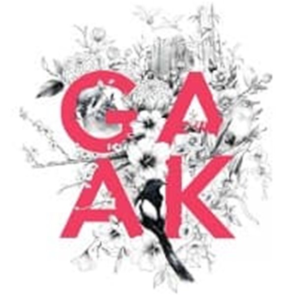 [미개봉] 가악 프로젝트 (Gaak Project) / Soar
