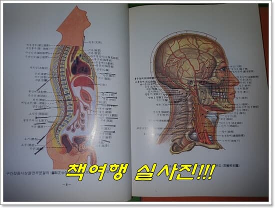 침구인을 위한 인체해부 생리학 (이병국/1989년)