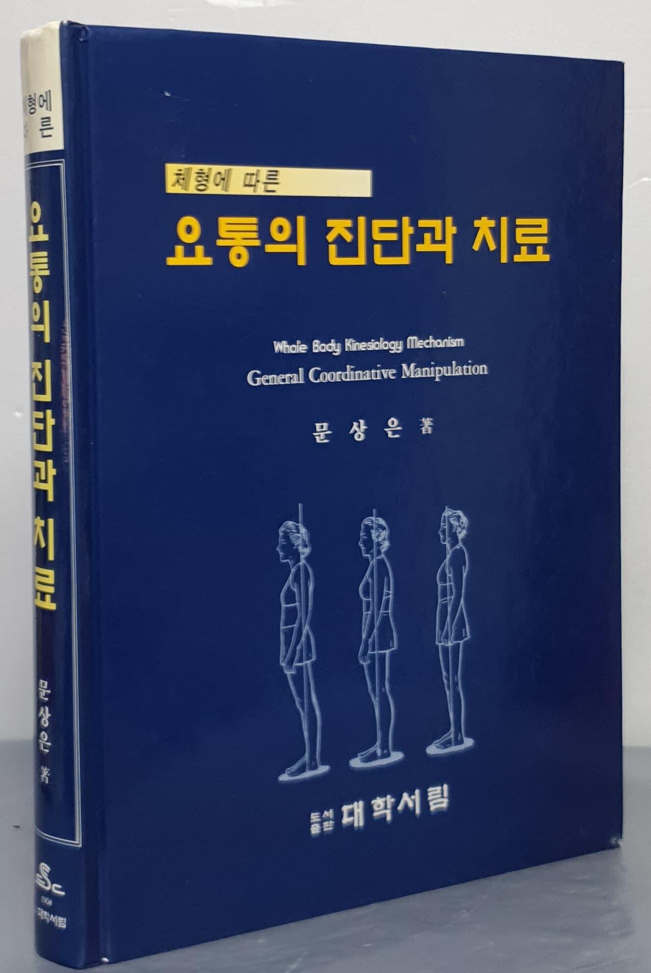 체형에 따른 요통의 진단과 치료