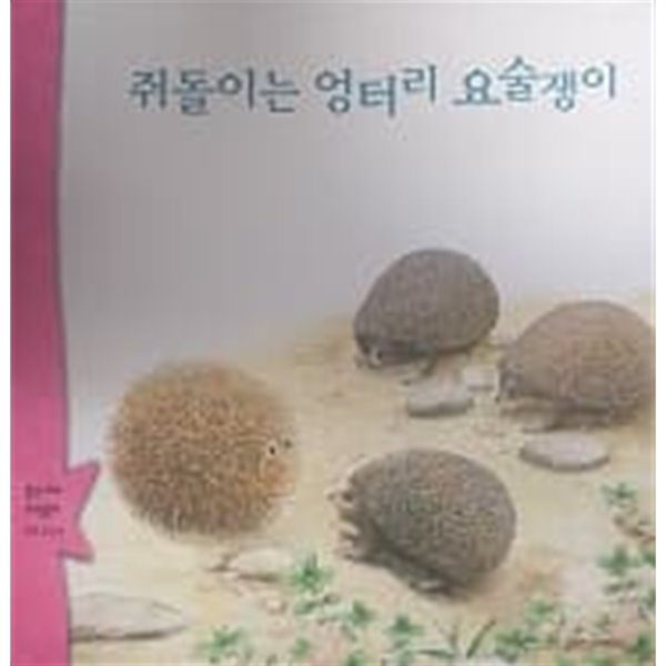 쥐돌이는 엉터리 요술쟁이 (웅진 꼬마 수학동화 8)