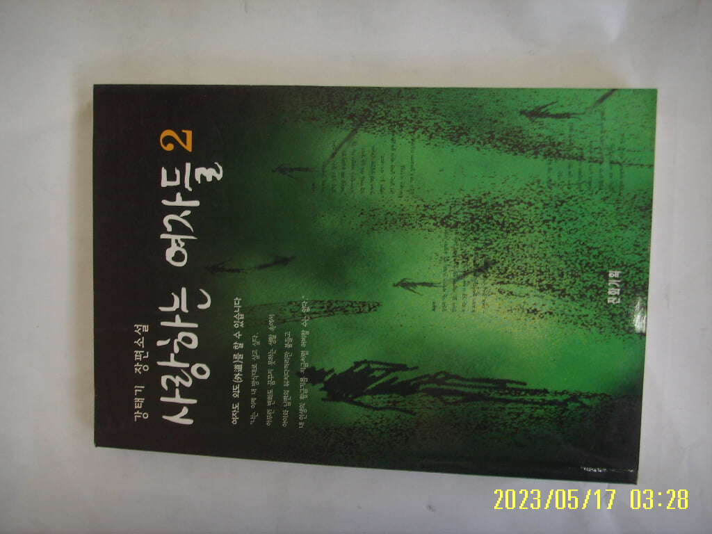 강태기 소설 / 진화기획 / 사랑하는 여자들 2 (끝) -97년. 초판. 꼭 상세란참조