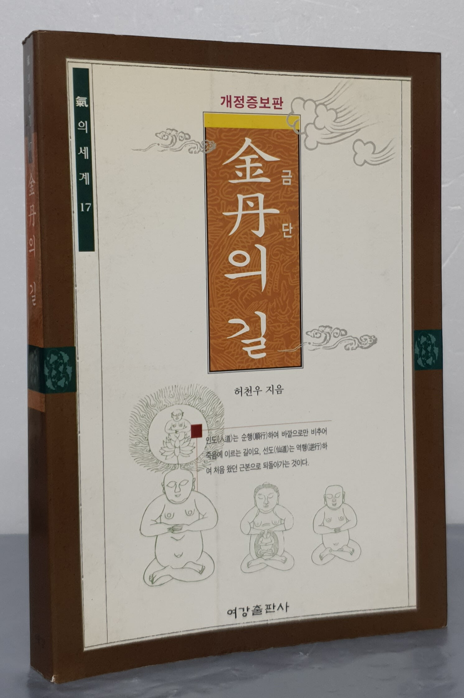 금단의 길 (기의 세계 17)