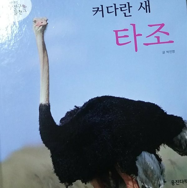 커다란 새 타조