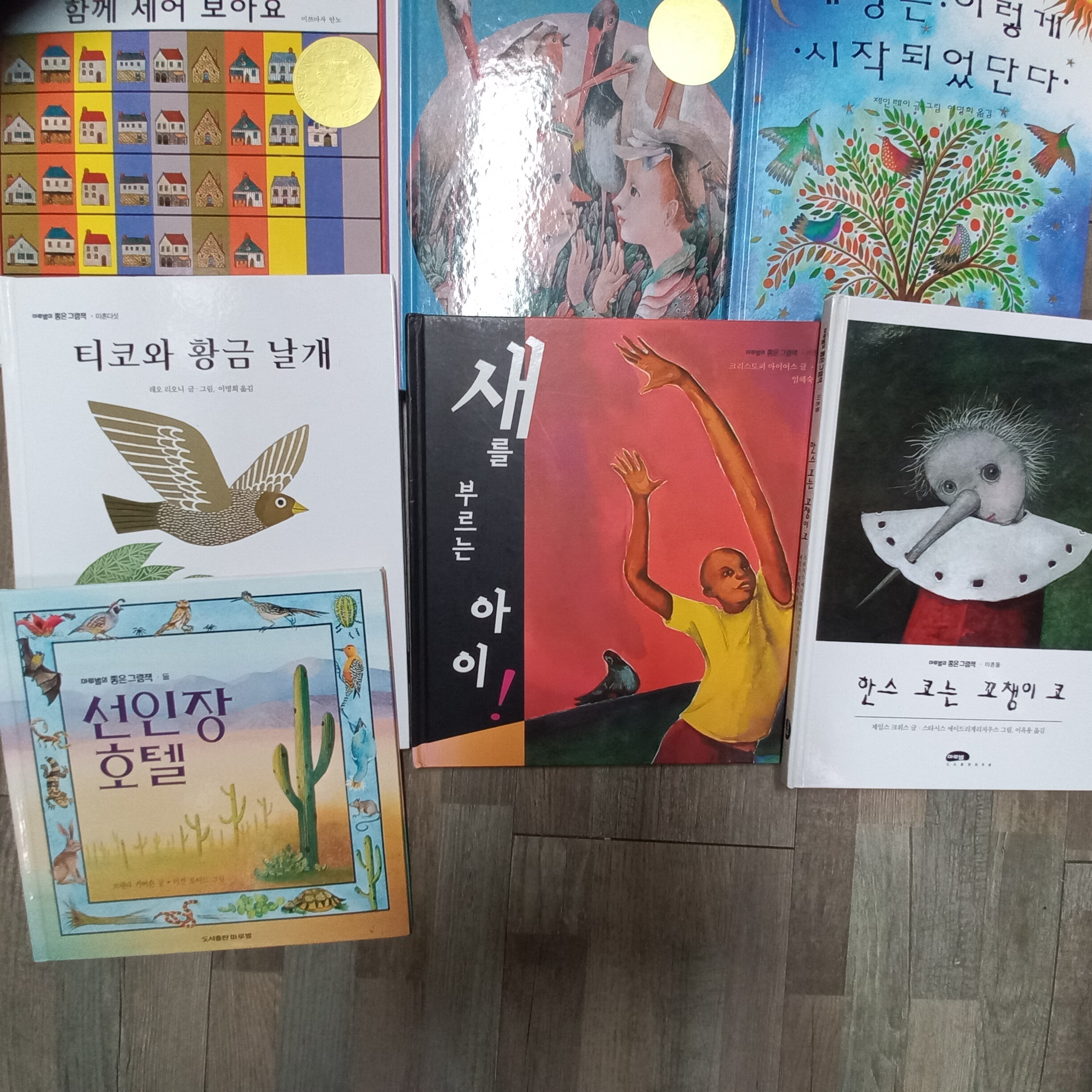 마루벌 좋은 그림책 10권(세상은 이렇게 시작되었단다,새를 부르는 아이, 선인장호텔, 티코와 황금날개,으뜸헤엄이,까마귀의 소년 등)