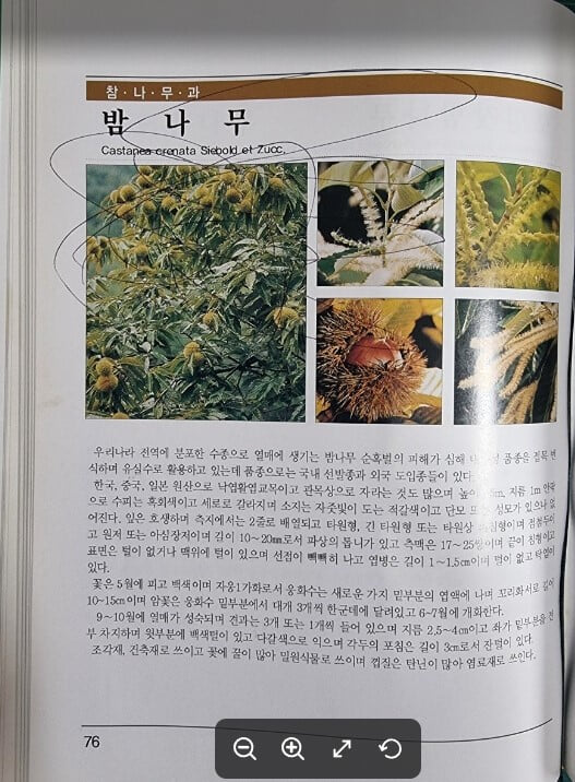 우리지역에서 자라는 나무 수목도감 / 김영수 외 / 순천시 - 실사진과 설명확인요망 