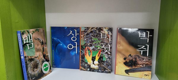 지성자연사박물관 시리즈 4권(버섯,뱀,상어,박쥐)