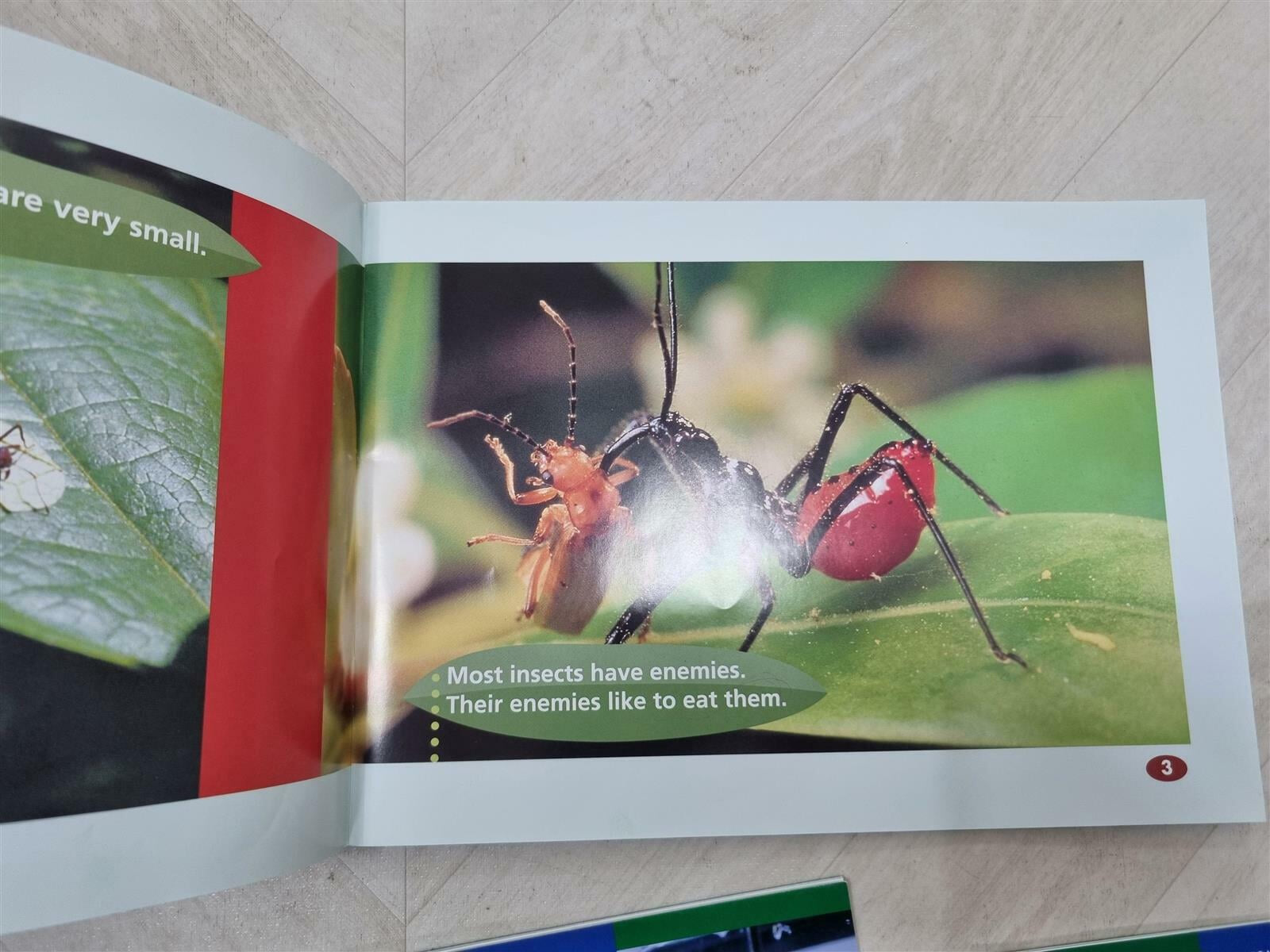 [중고] National Geographic Window on Literacy 총22권 세트 -- 상세사진 올림 공부흔적 있는 중급