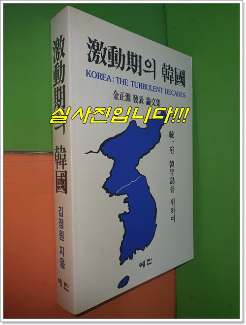 격동기의 한국 (1992년)