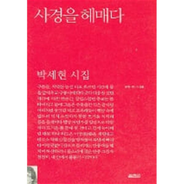 사경을 헤매다 ㅣ 문학.판 시 6 (2005 초판)