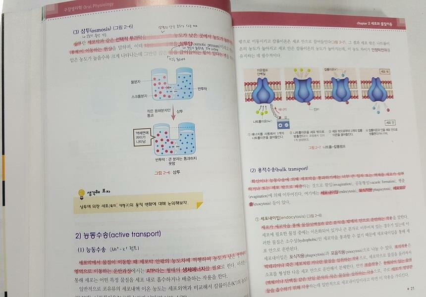 구강생리학 /(의학교육/많이 사용함)