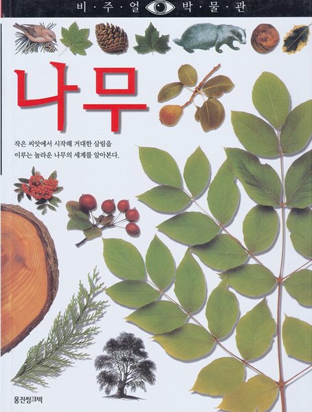 나무 (비주얼 박물관, 19) (ISBN : 9788901046310)