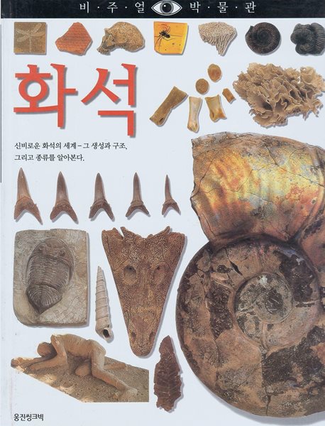 화석 (비주얼 박물관, 23) (ISBN : 9788901046358)