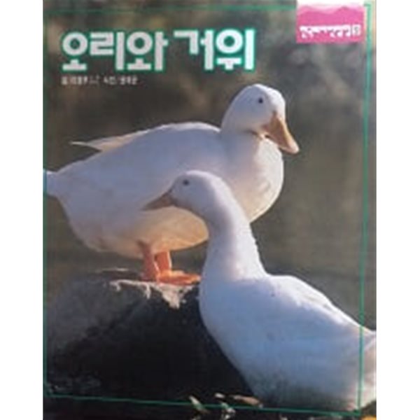 오리와 거위(한국의 자연탐험 9)