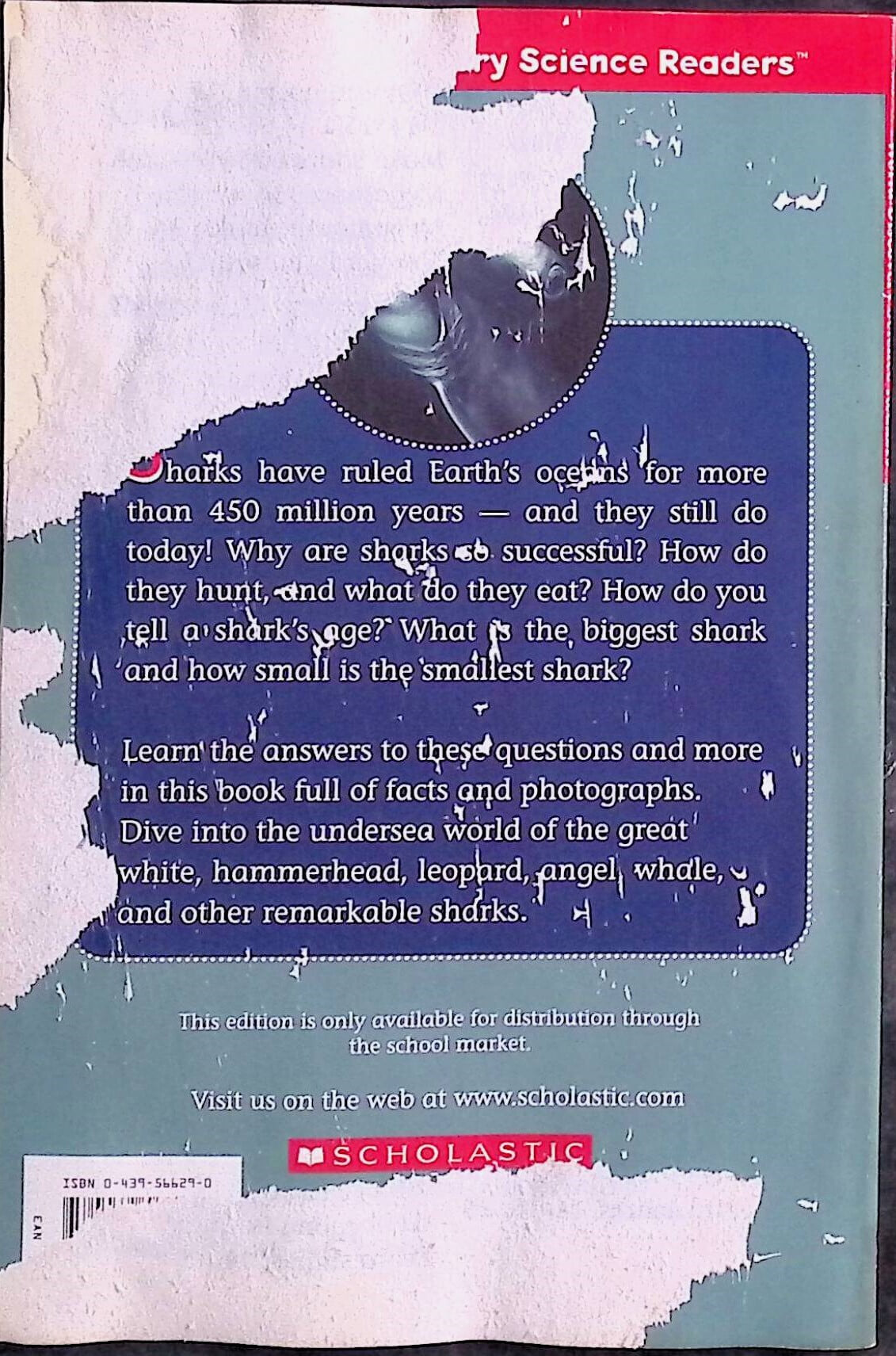 Sharks! (Paperback)