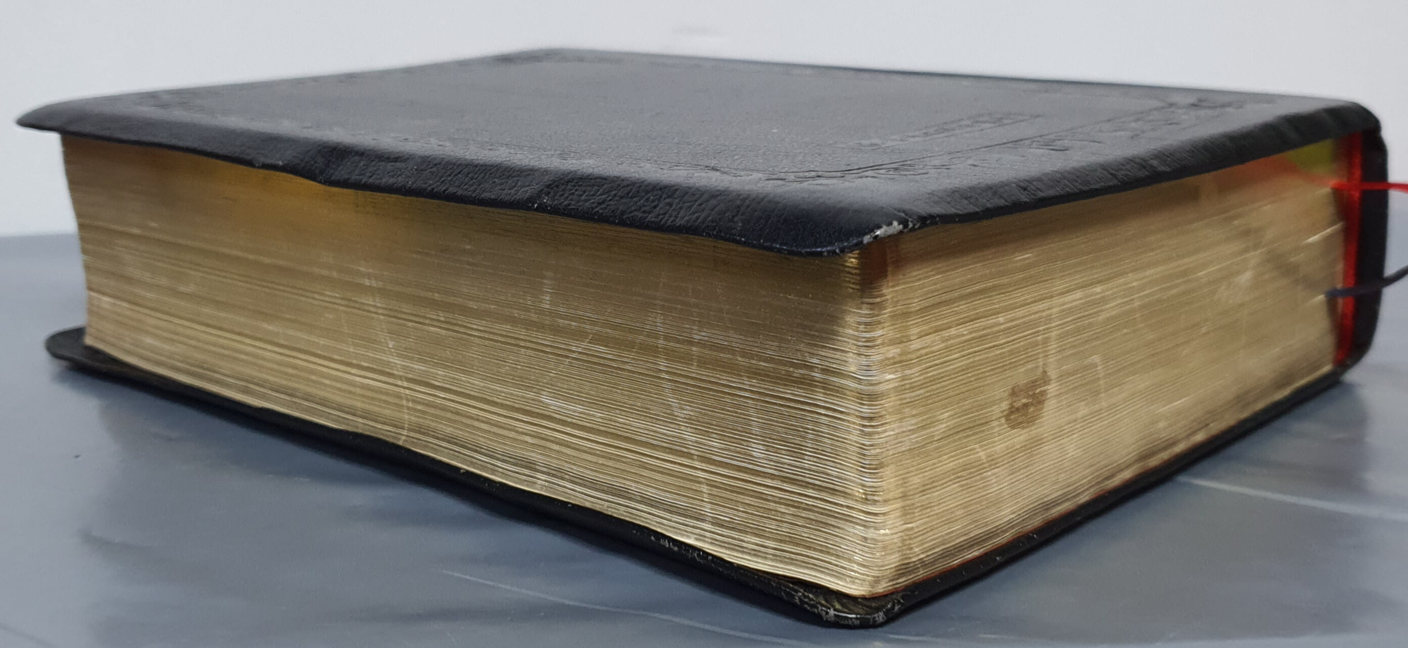 선교 100주년 기념: 뉴톰슨 관주 주석성경 (개역국한문) - 무지퍼, 무색인