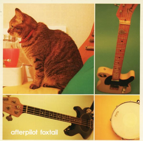 애프터파일롯 - Afterpilot - Foxtailr