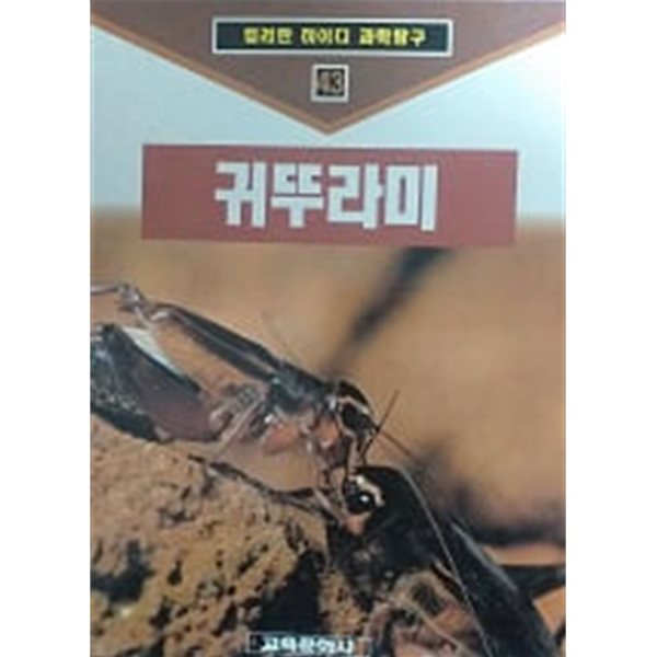 귀뚜라미(컬러판 하이디 과학탐구 43)