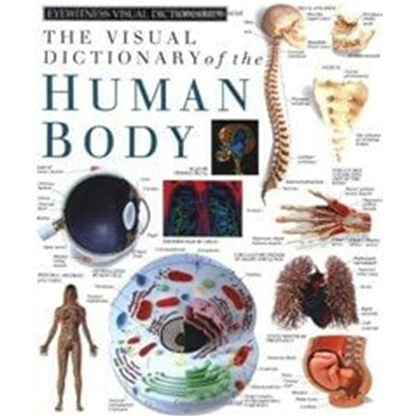 Eyewitness Visual Dictionaries: The Visual Dictionary of the Human Body