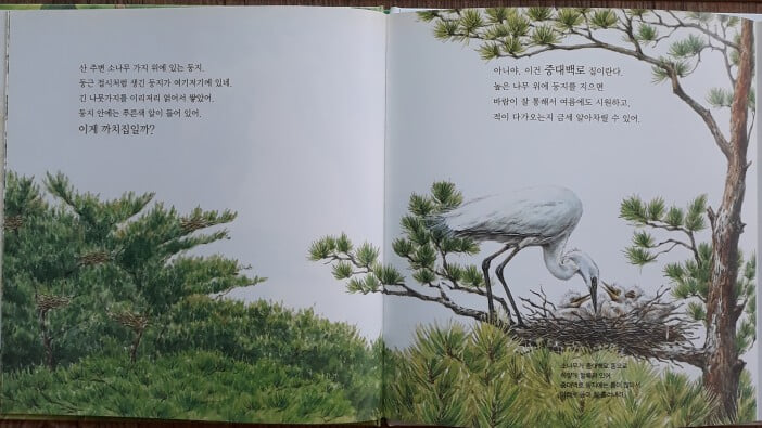 탄탄 토리지식그림책 전37권 특A급