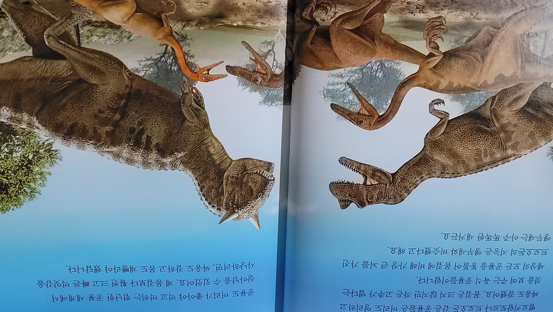 연두비 | 내셔널 지오그래픽 다이너소어 Dinosaurs 12권 세트