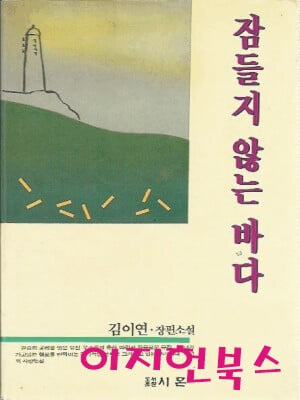 잠들지 않는 바다 : 김이연 장편소설