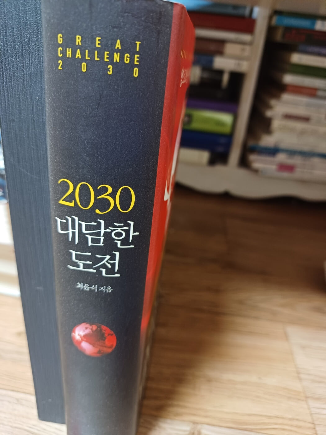 2030 대담한 도전