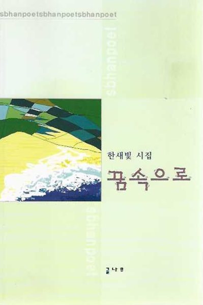 꿈 속으로 : 한새빛 시집