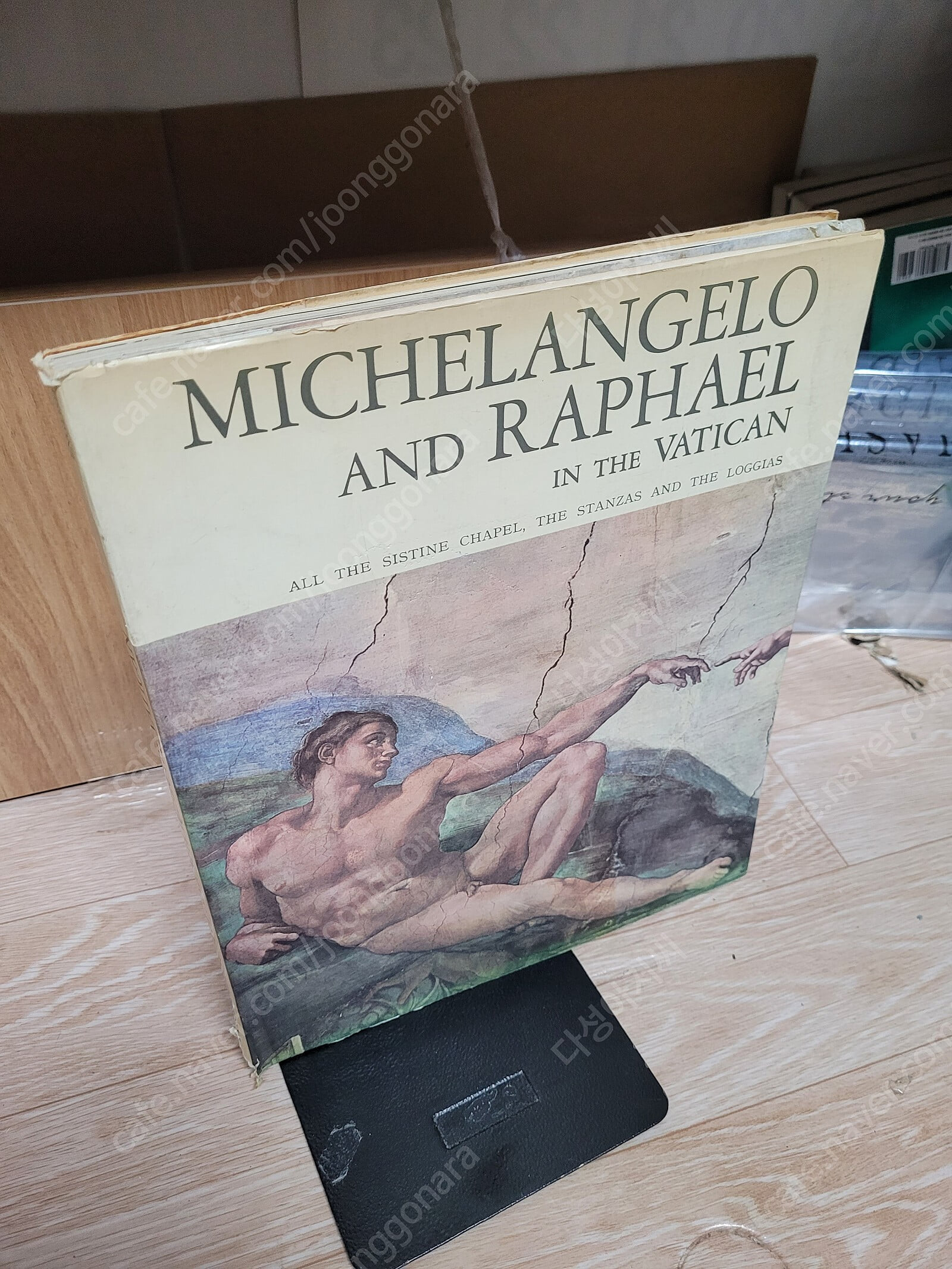 Michelangelo and Raphael in the Vatican (All the Sistine Chapel, the Stanzas and the Loggias) 바티칸의 미켈란젤로와 라파엘로 [Paperback,영문판]| 1992년 1월/희귀본...실사진