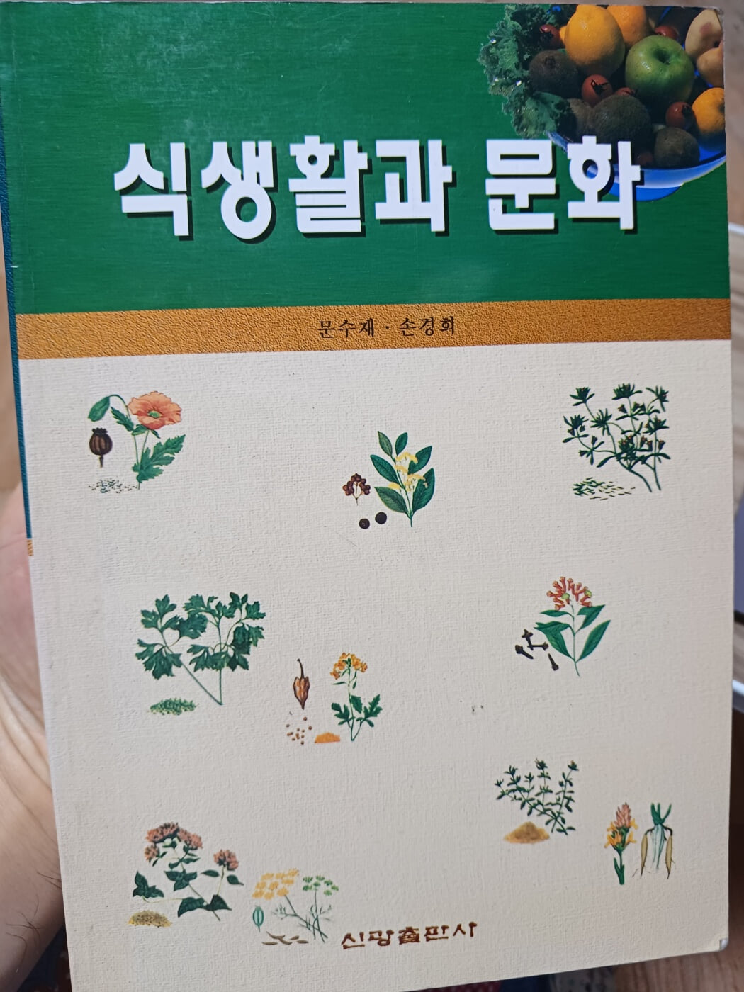 식생활과 문화