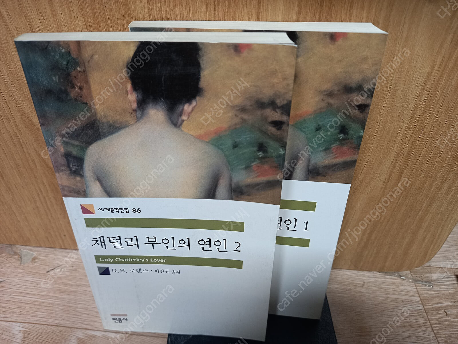 채털리 부인의 연인 - 전2권,세트 / 로렌스 / 민음사  민음사 | 2003년 9월/실사진
