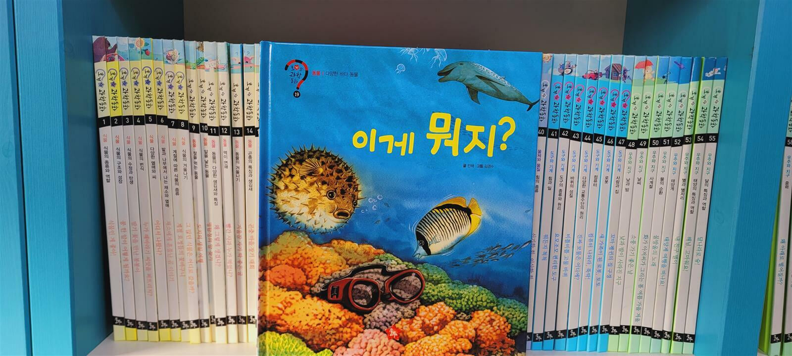 글뿌리 호기심 과학동화 1-65세트(66번없음/기둥빛바램외깨끗/상세사진참조)