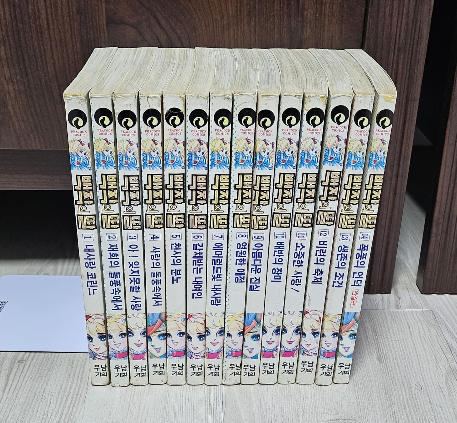 백작의딸1-14(완)/1991년/우남기획/실사진[귀공녀코린느]