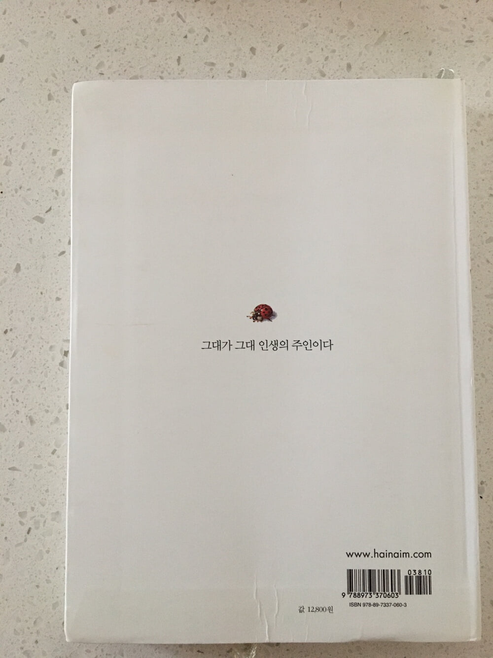 청춘불패