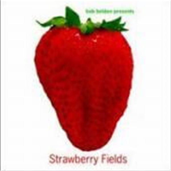 Bob Belden / Strawberry Fields