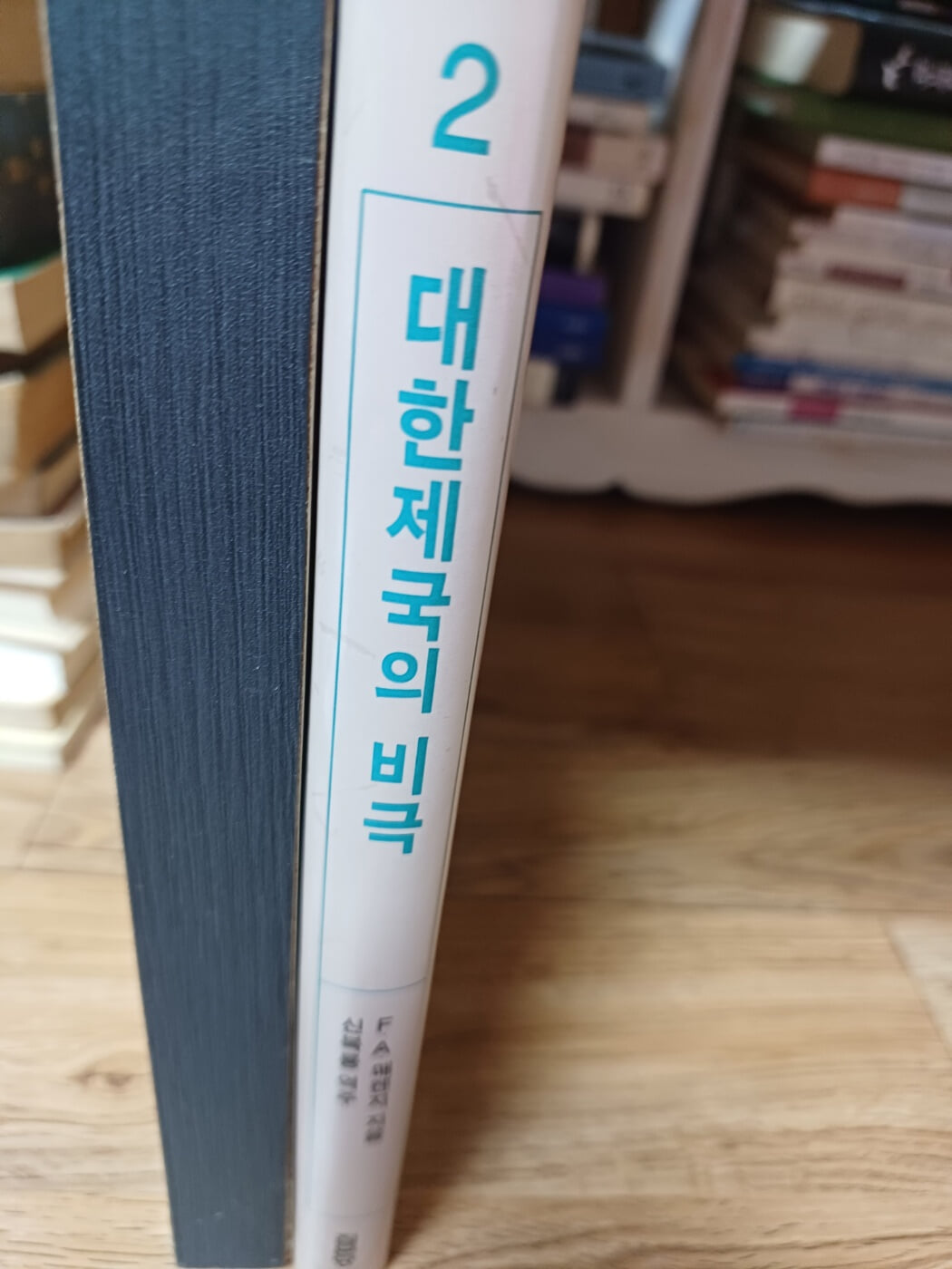 대한제국의 비극(한말 외국인 기록2-집문당)