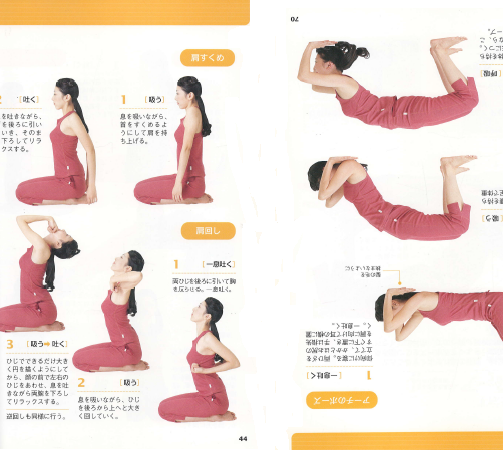 DVDで?えるシンプルヨ?ガlesson (DVD로 익히는 simple 요가 lesson) <교재 + DVD> 일본원서 yoga 최초공개 오리지널 프로그램 