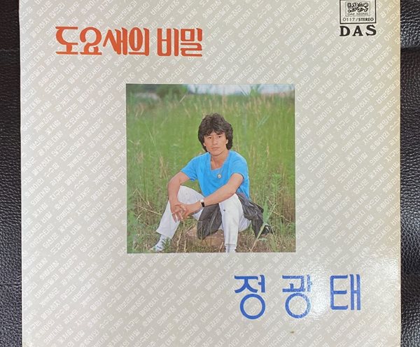 [LP] 정광태 - 도요새의 비밀,화랑관창 LP [대성음반 DAS-0117]