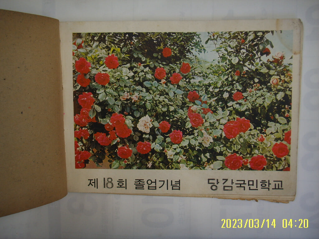 당감국민학교 1970 제18회 졸업기념 앨범 (부산) -낡음. 사진. 꼭 상세란참조
