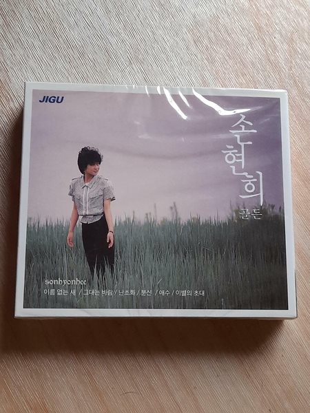 손현희 골든(2CD) - 이름 없는 새