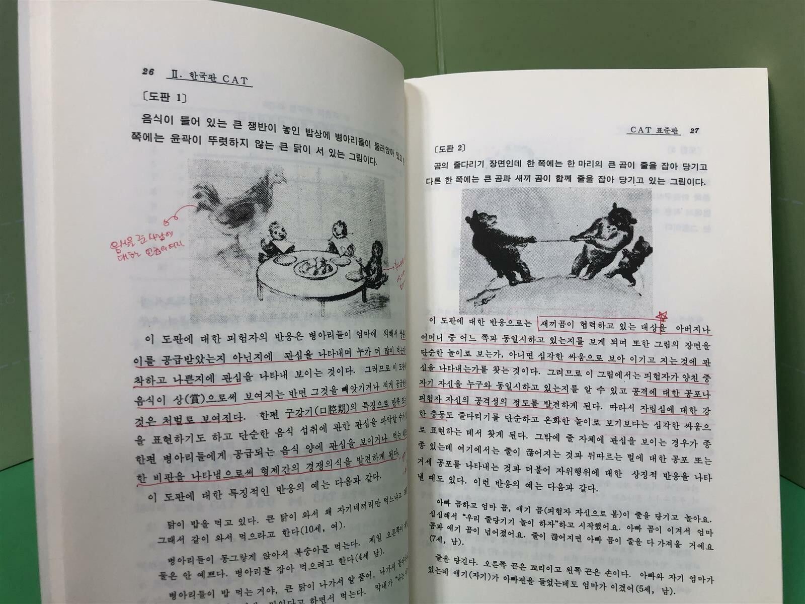 아동용 회화 통각 검사