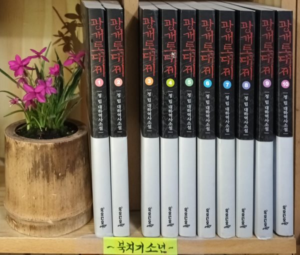 광개토대제 세트(전10권)-정립대하역사소설-초판